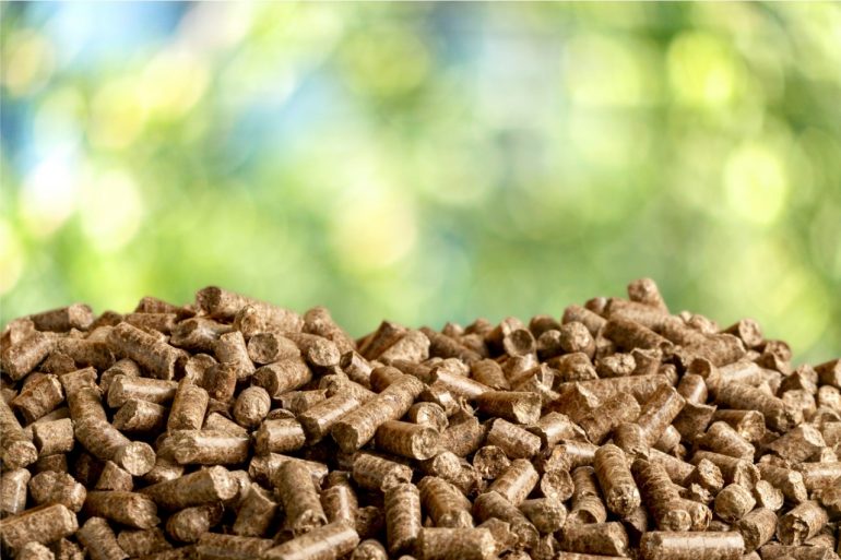 Vantagens e desvantagens da Energia de Biomassa