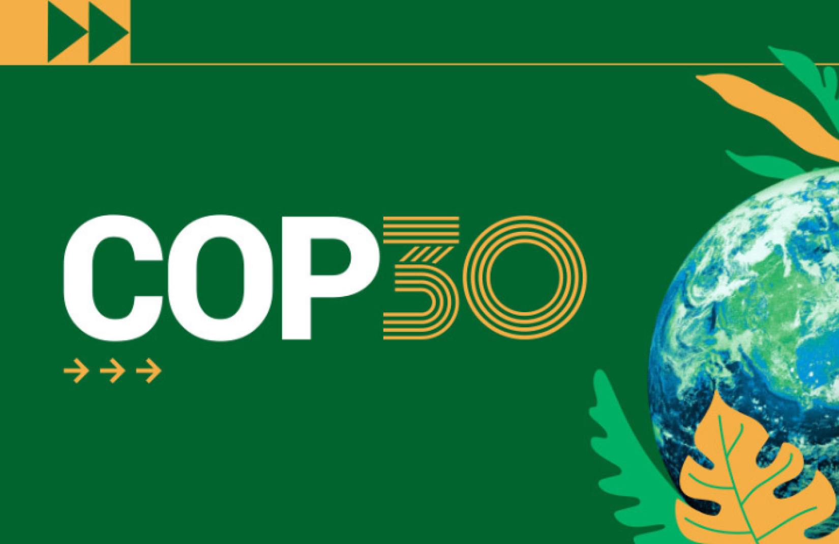 COP 30 e os desafios da energia sustentável